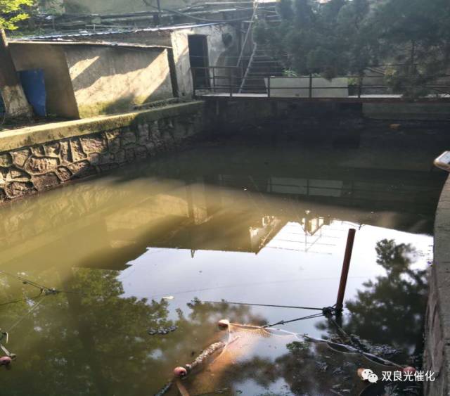 定了！中國電建集團(tuán)竹山縣長江大保護(hù)水環(huán)境治理PPP項目
