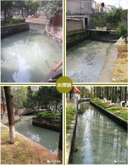 6.2億元！海南省五指山市昌化江上游濱河雨林生態(tài)修復（南圣至通什段）綜合治理項目資格預審