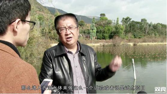 洱源西湖<a href=http://m.trip-tour.cn target=_blank class=infotextkey>水環(huán)境治理</a><a href=http://m.trip-tour.cn/hp/ target=_blank class=infotextkey>湖泊修復(fù)</a>碧水藍(lán)天