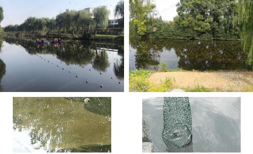 江陰市濱江河黑臭水體<a href=http://m.trip-tour.cn target=_blank class=infotextkey>河道治理</a>
