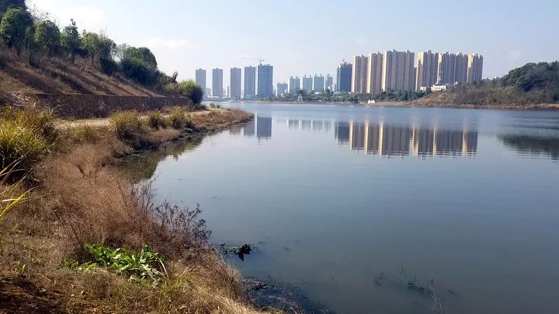 長興湖水<a href=http://m.trip-tour.cn target=_blank class=infotextkey>水環(huán)境治理</a>