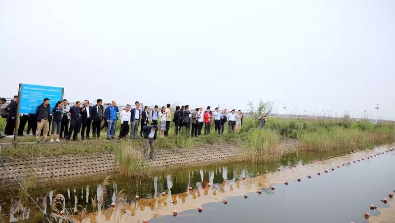 中國第一大城市飲用水<a href=http://m.trip-tour.cn/yysyd/ target=_blank class=infotextkey>水源地治理</a>技術(shù)突破