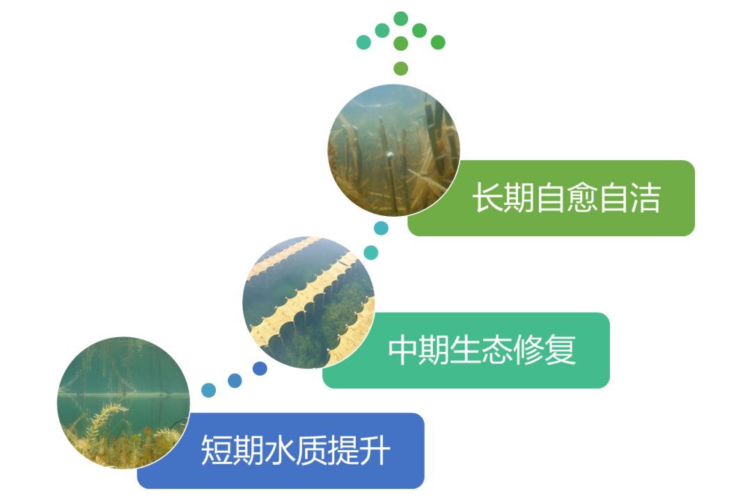 2020<a href=http://m.trip-tour.cn target=_blank class=infotextkey><a href=http://m.trip-tour.cn target=_blank class=infotextkey>雙良</a>環(huán)境</a>春招開啟