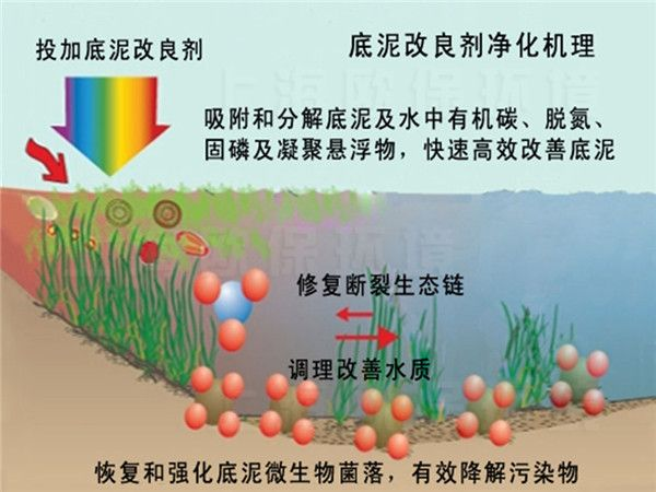 城市河流污染治理技術（二）