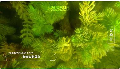 保護生物多樣性<a href=http://m.trip-tour.cn target=_blank class=infotextkey><a href=http://m.trip-tour.cn target=_blank class=infotextkey>雙良</a>環(huán)境</a>在行動！