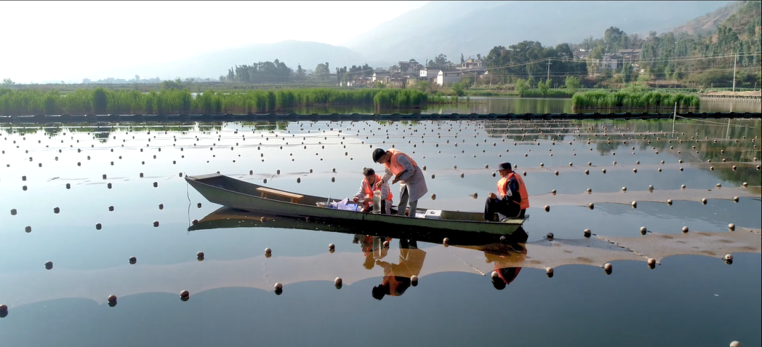 巡河并調(diào)研病險水庫、農(nóng)村污水治理工程
